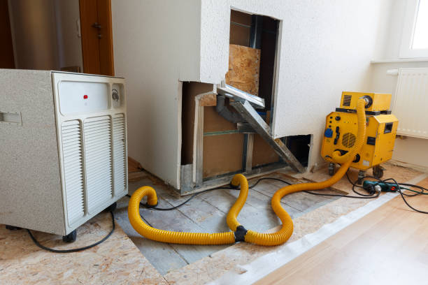 Hartshorne, OK Mold Removal Company